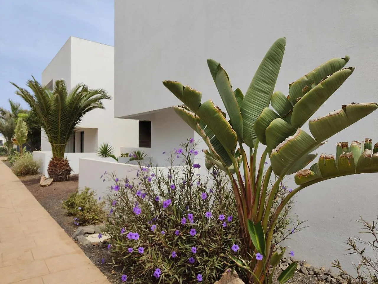 Marta & Lorenzo Apartment. Fuerteventura La Oliva 0*,  Spanien